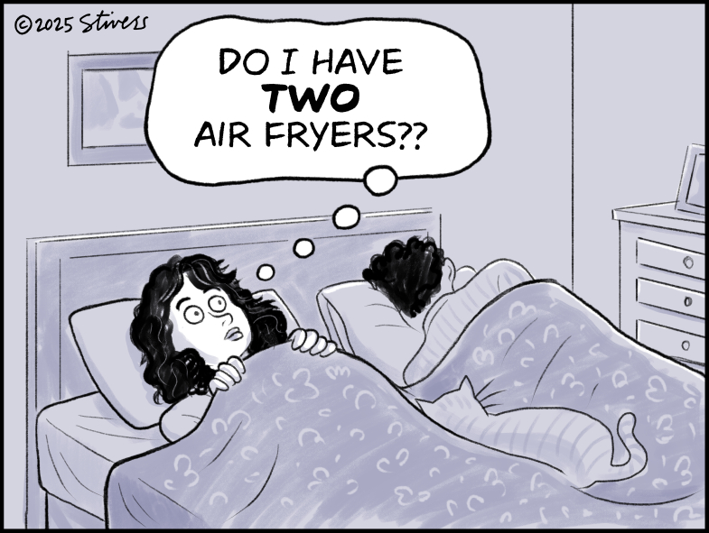 Do I have two air fryers?
